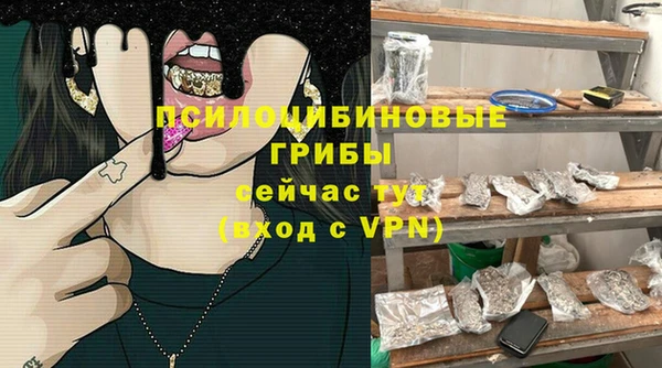 ГАЛЛЮЦИНОГЕННЫЕ ГРИБЫ Арсеньев
