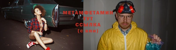 PSILOCYBIN Аркадак