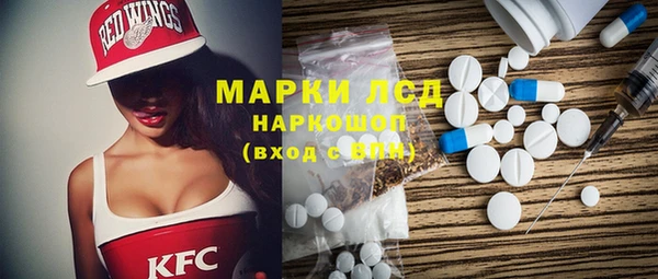 PSILOCYBIN Аркадак