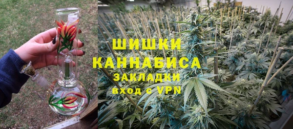 PSILOCYBIN Аркадак