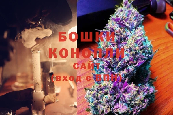 PSILOCYBIN Аркадак