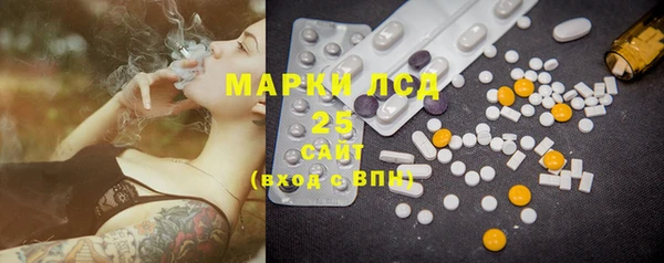 PSILOCYBIN Аркадак