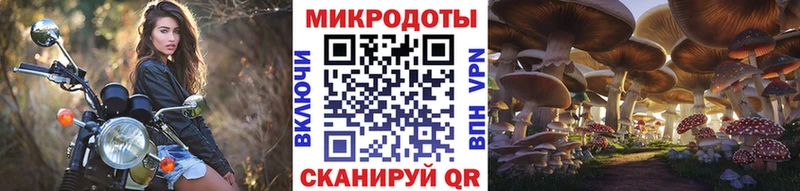 Галлюциногенные грибы Psilocybe  Таруса 